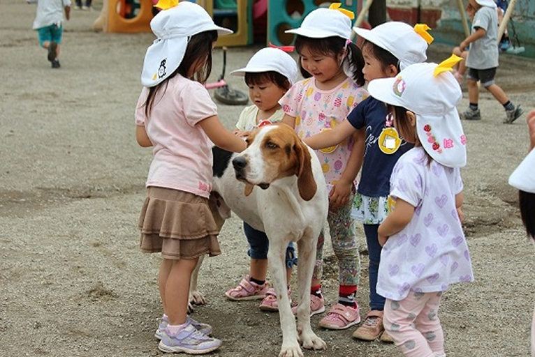 フランクリン（保護犬）