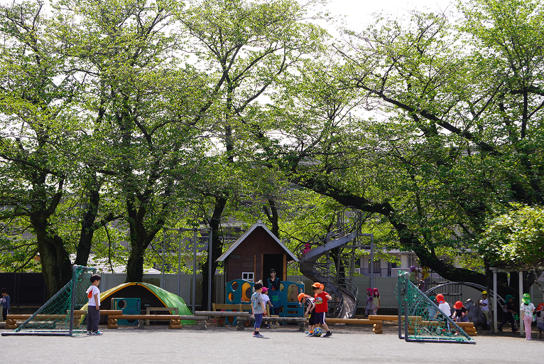 広い園庭でのびのび遊ぶ